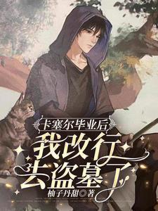 卡塞尔市 卡塞尔市