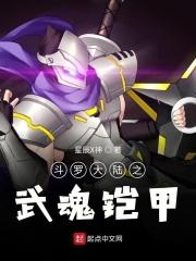 斗罗之我的武魂是铠甲勇士拿瓦