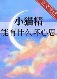 小猫猫精灵是谁