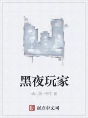 黑夜玩家免费