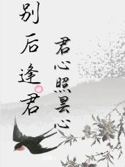 逢君别有伤心在意思