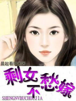 剩女不愁嫁txt 剩女不愁嫁txt