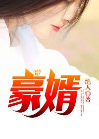 史上第一婿 史上第一婿