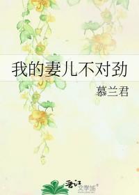 综影视之美人人倾国倾城
